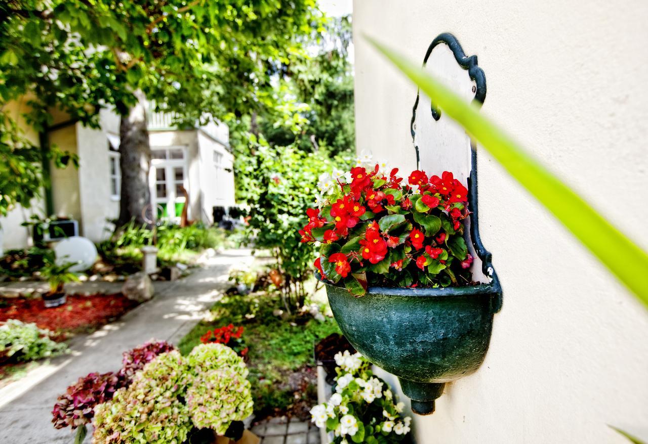 Pension Margit Baden Exterior foto